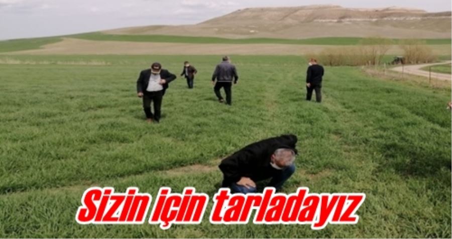 Sizin için tarladayız