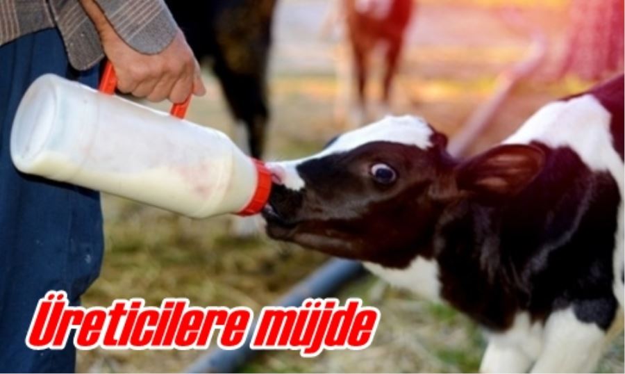 Üreticilere müjde