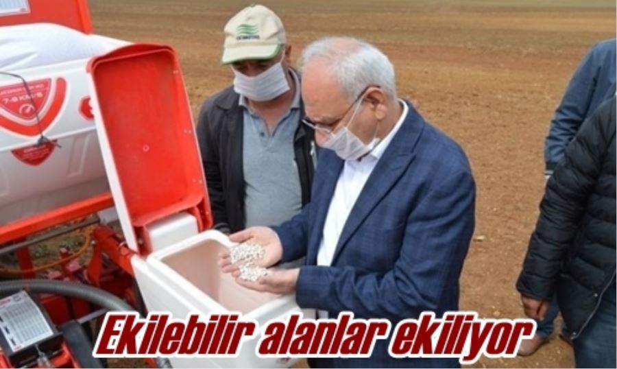 Ekilebilir alanlar ekiliyor