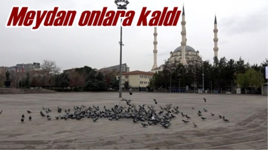 Meydan onlara kaldı