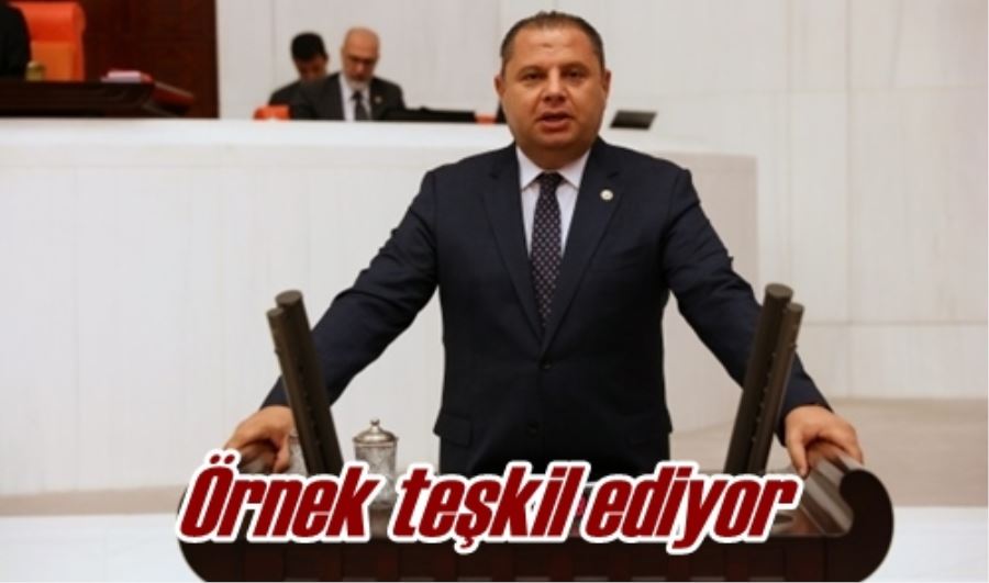 Örnek teşkil ediyor