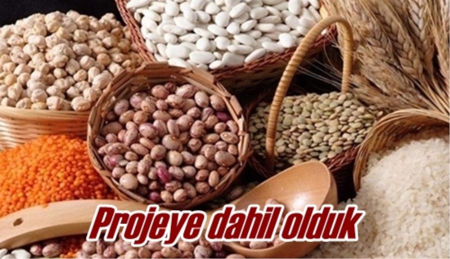 Projeye dahil olduk