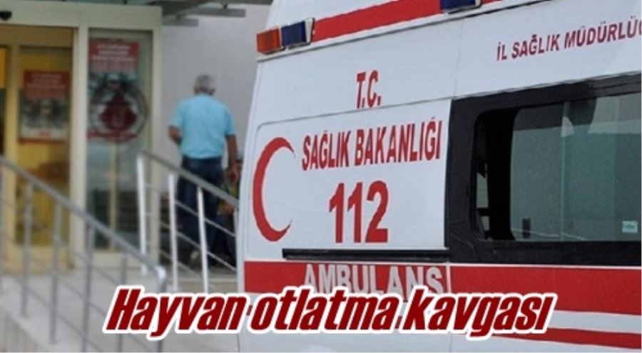 Hayvan otlatma kavgası