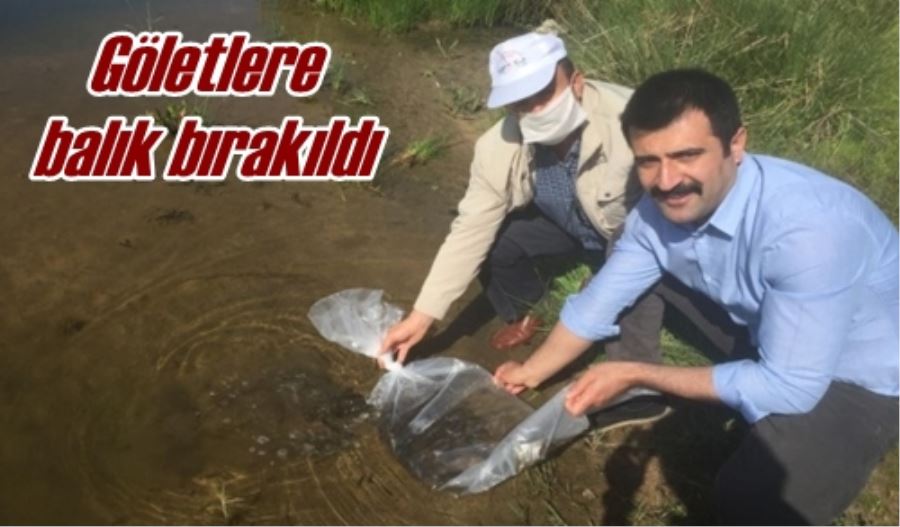 Göletlere balık bırakıldı