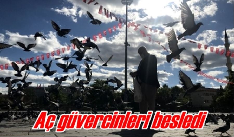 Aç güvercinleri besledi