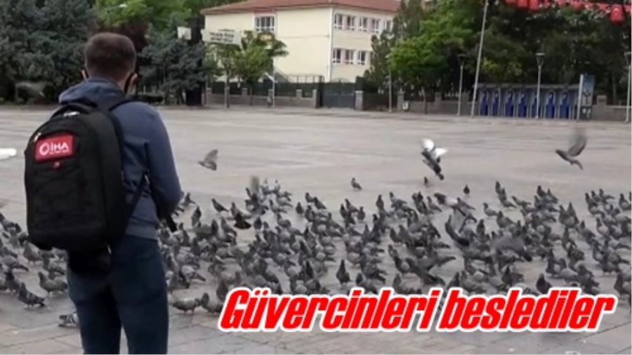 Güvercinleri beslediler