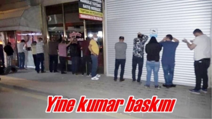 Yine kumar baskını