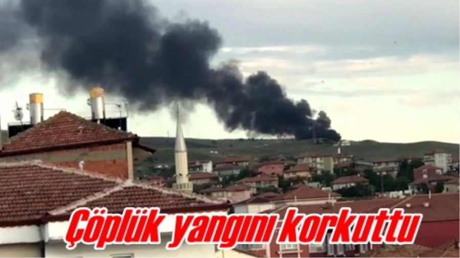 Çöplük yangını korkuttu