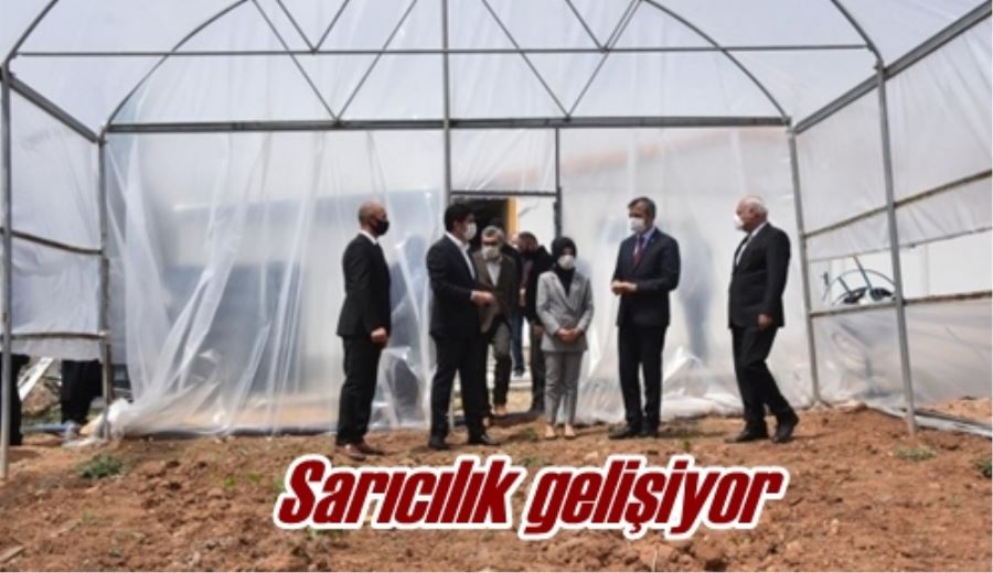 Seracılık gelişiyor