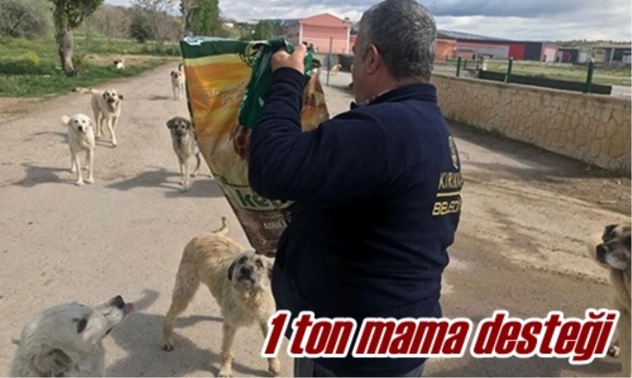 1 ton mama desteği