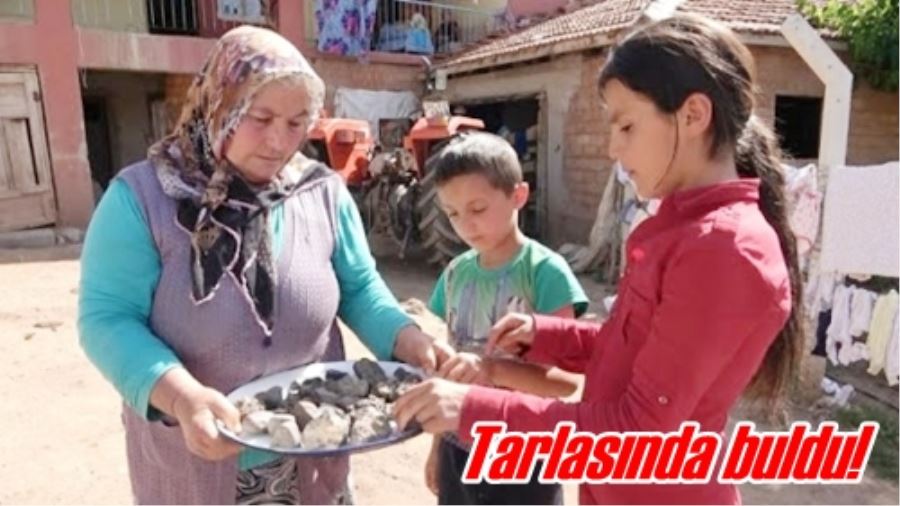 Tarlasında buldu!