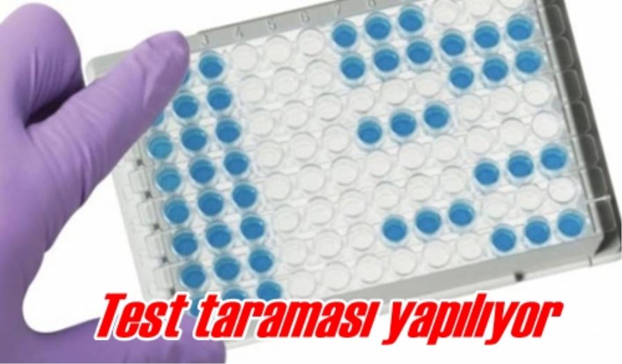Test taraması yapılıyor