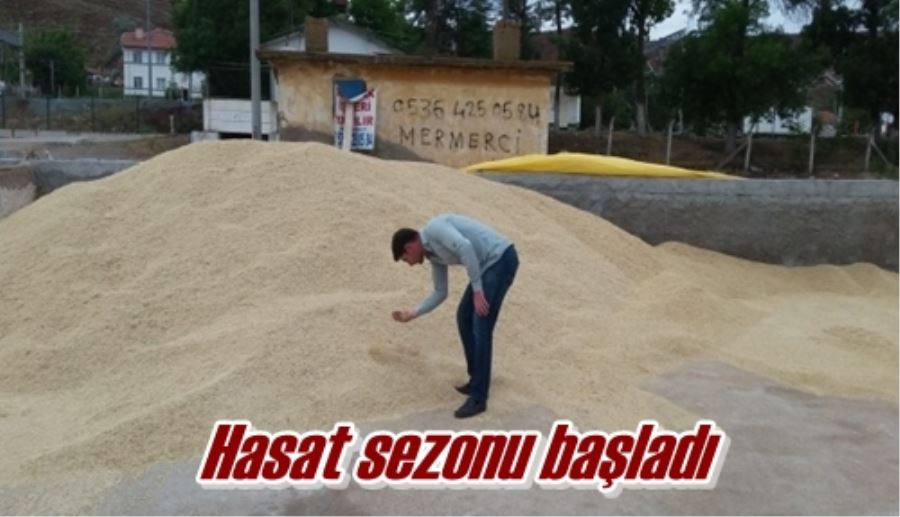 Hasat sezonu başladı