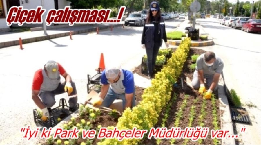 Çiçek çalışması