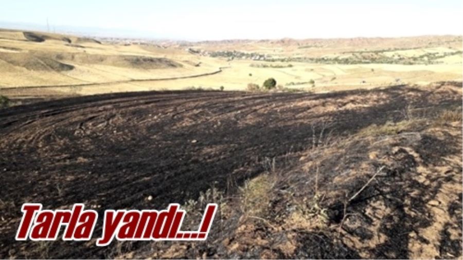 Tarla yandı