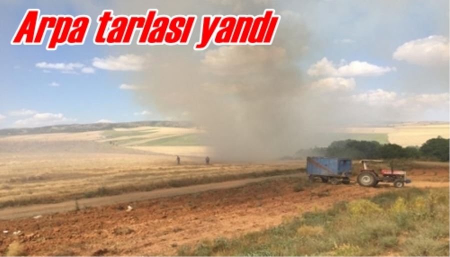 Arpa tarlası yandı