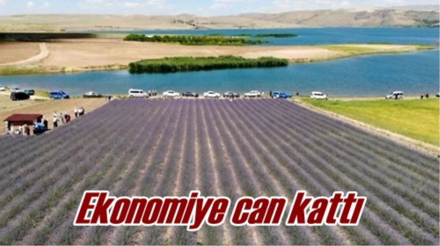 Ekonomiye can kattı