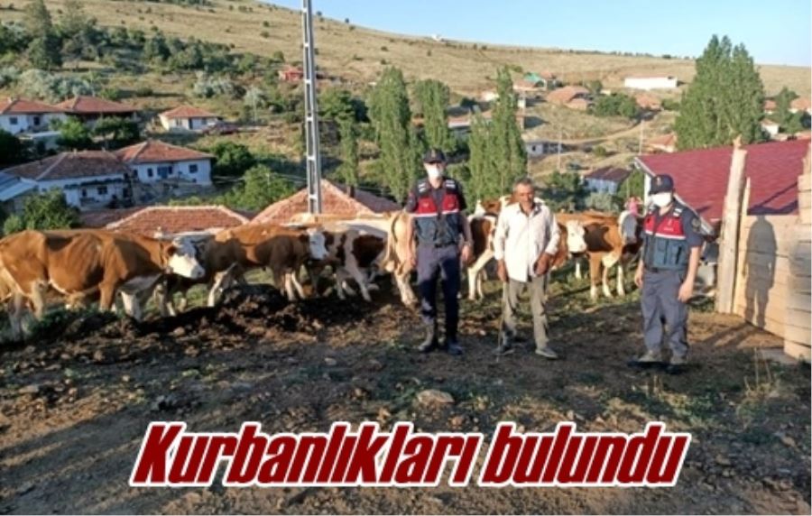 Kurbanlıkları bulundu