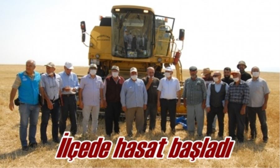 İlçede hasat başladı