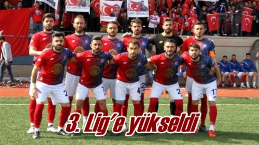 3. Lig