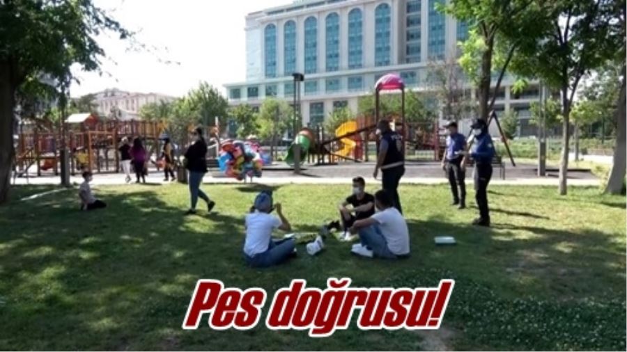 Pes doğrusu!