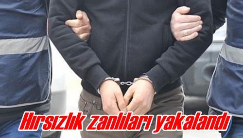 Hırsızlık zanlıları yakalandı