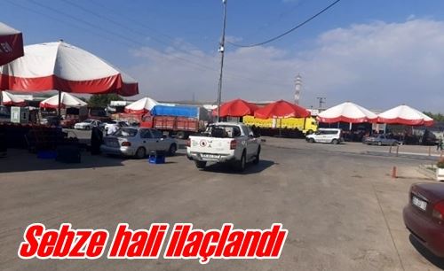 Sebze hali ilaçlandı