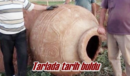 Tarlada tarih buldu