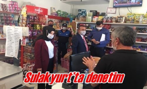 Sulakyurt’ta denetim