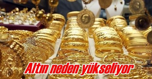 Altın neden yükseliyor