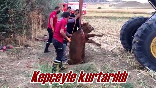 Kepçeyle kurtarıldı