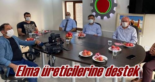 Elma üreticilerine destek 