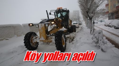 Köy yolları açıldı