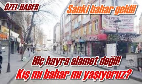 Sanki bahar geldi!