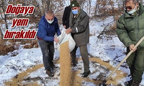 Doğaya yem bırakıldı