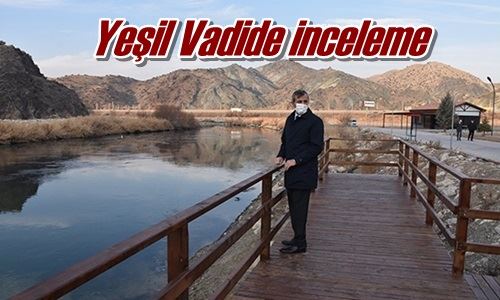 Yeşil Vadide inceleme