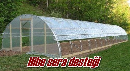 Hibe sera desteği
