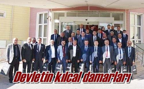 Devletin kılcal damarları