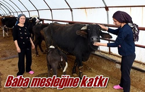 Baba mesleğine katkı