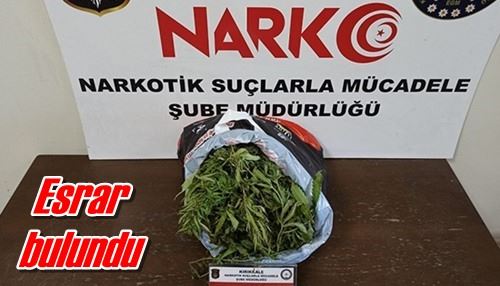 Esrar bulundu
