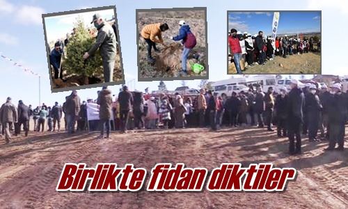 Birlikte fidan diktiler