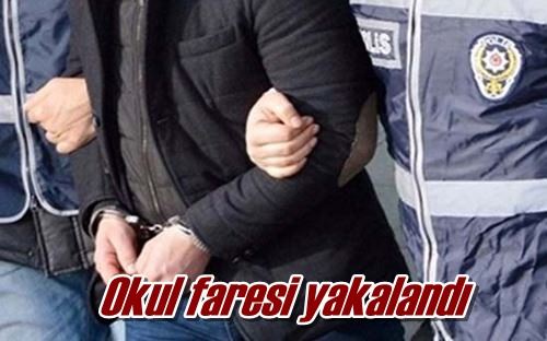 Okul faresi yakalandı