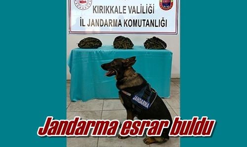 Jandarma esrar buldu