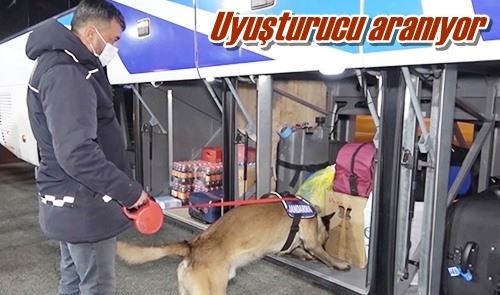 Uyuşturucu aranıyor