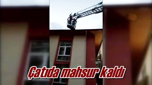 Çatıda mahsur kaldı