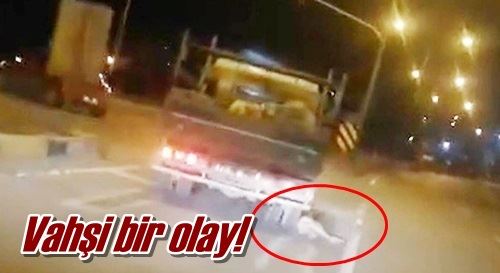 Vahşi bir olay!