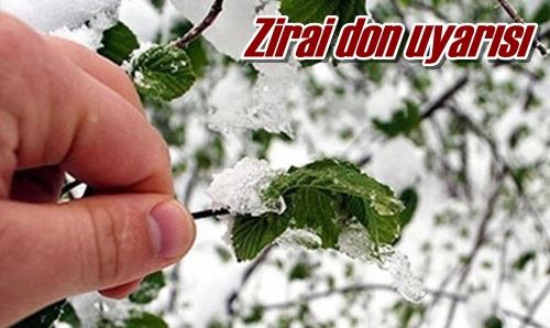 Zirai don uyarısı