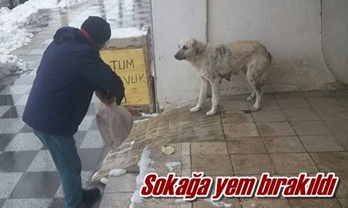 Sokağa yem bırakıldı