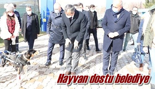 Hayvan dostu belediye