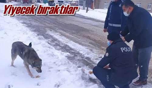 Yiyecek bıraktılar